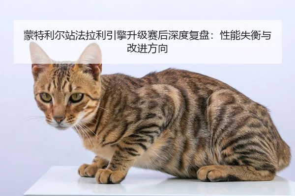 meng-te-li-er-zhan-fa-la-li-yin-qing-sheng-ji-sai-hou-shen-du-fu-pan-xing-neng-shi-heng-yu-gai-jin-fang-xiang-2-236.jpg